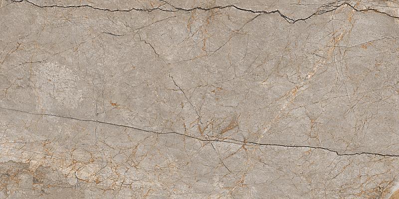 Керамогранит Futura тонкий Silver Roots серый ректификат 60x120
