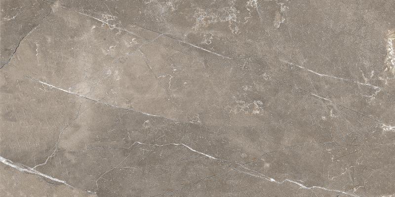 Плитка облицовочная Siluet коричневый 50*25